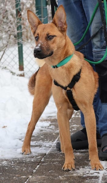 Jette - kleine Abenteurerin 😍