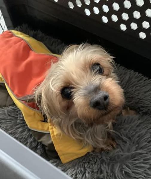 Joana   72664 Kohlberg