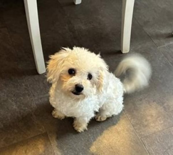 Biju 47551 Bedburg-Hau