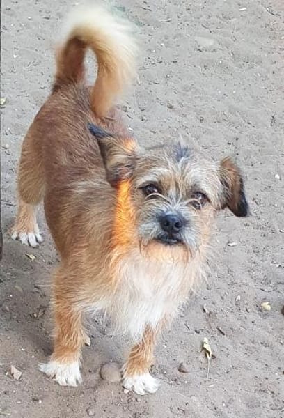 Zokni ° 60433 Frankfurt