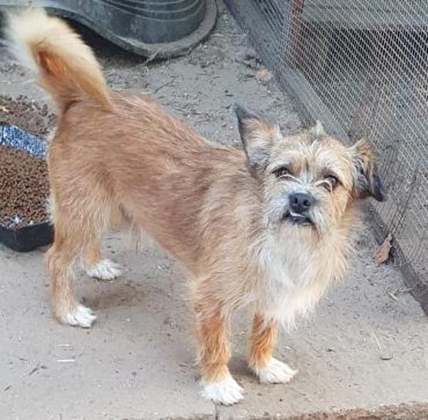 Zokni ° 60433 Frankfurt