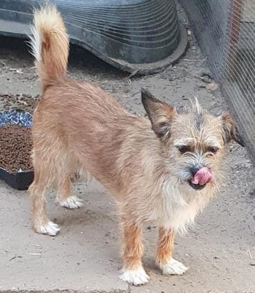 Zokni ° 60433 Frankfurt