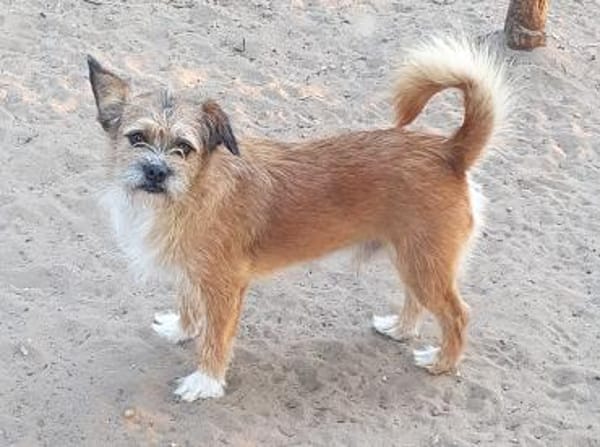 Zokni ° 60433 Frankfurt