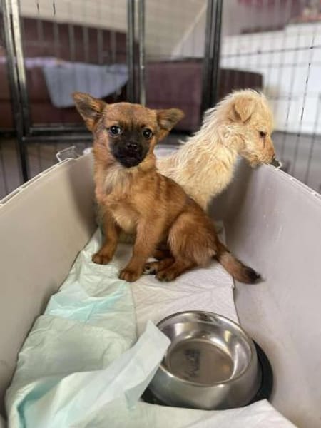 Viggo - möchte die Welt kennenlernen