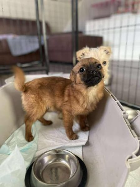 Viggo - möchte die Welt kennenlernen