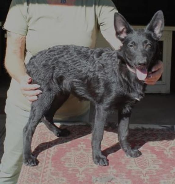 Schönheit Emma in 45138 Essen