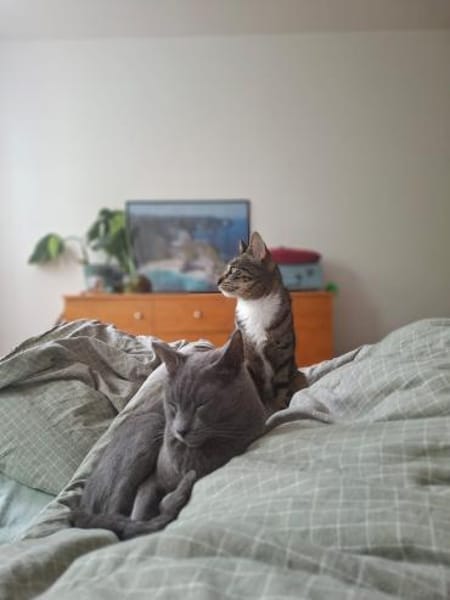 Pechvogel Sara in Köln(ALM)