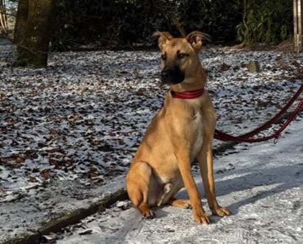 Mattis wartet in Dortmund