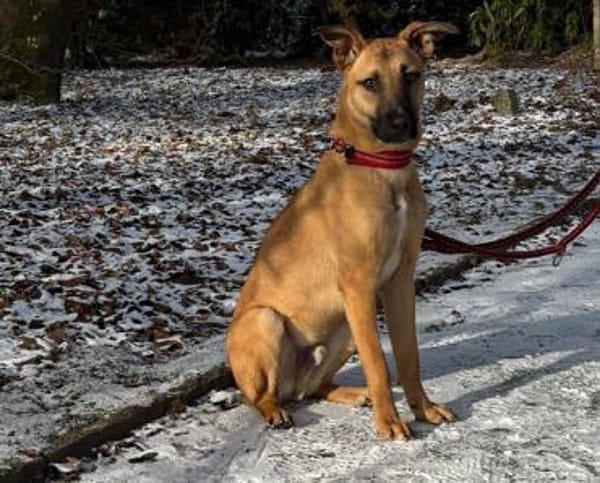 Mattis wartet in Dortmund