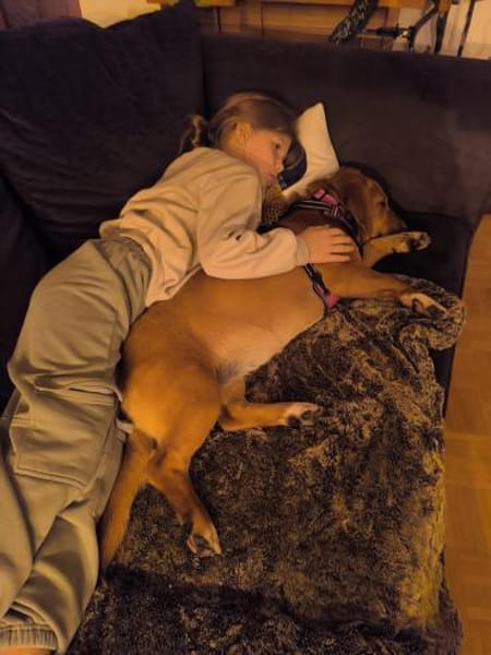 Süße Bailey sucht ein Zuhause