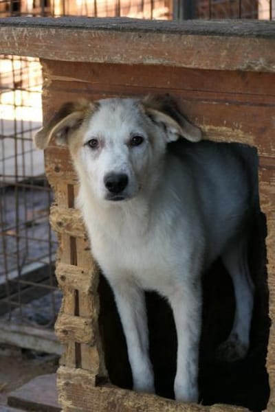 süsser,lustiger Kuchen sucht sein Zuhaus