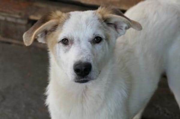 süsser,lustiger Kuchen sucht sein Zuhaus