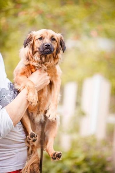 süßer lieber hübscher Kieron