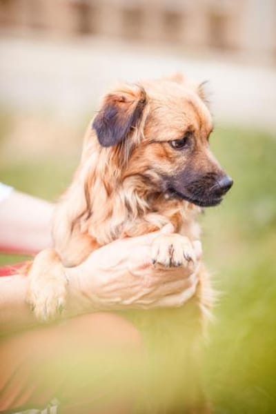 süßer lieber hübscher Kieron