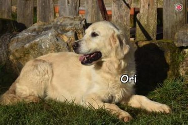 ORI