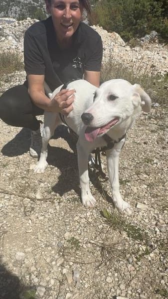 Die fröhliche Mali sucht ihr Zuhause