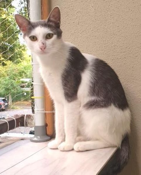 Tom & Pisa - warten in Berlin !........