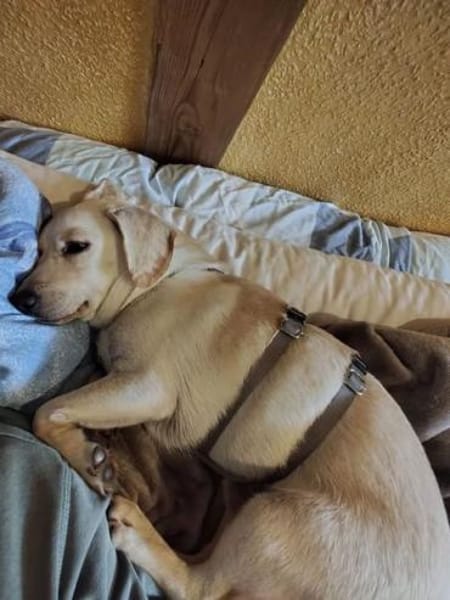 Minimann Eddi sucht seine Menschen