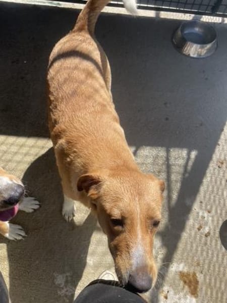 Die liebevolle Gina sucht Dich