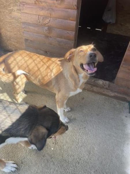 Die liebevolle Gina sucht Dich