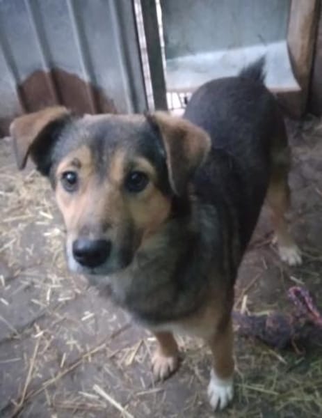 Tilda und Miles, ein Paar sucht Zuhause