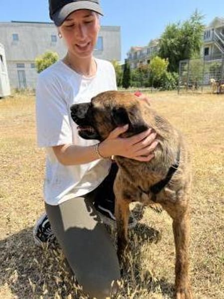 Herzenshund Bruno sucht seine Familie