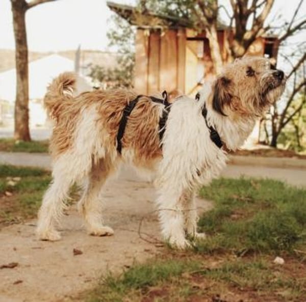 Aria offen, freundlich und herzlich