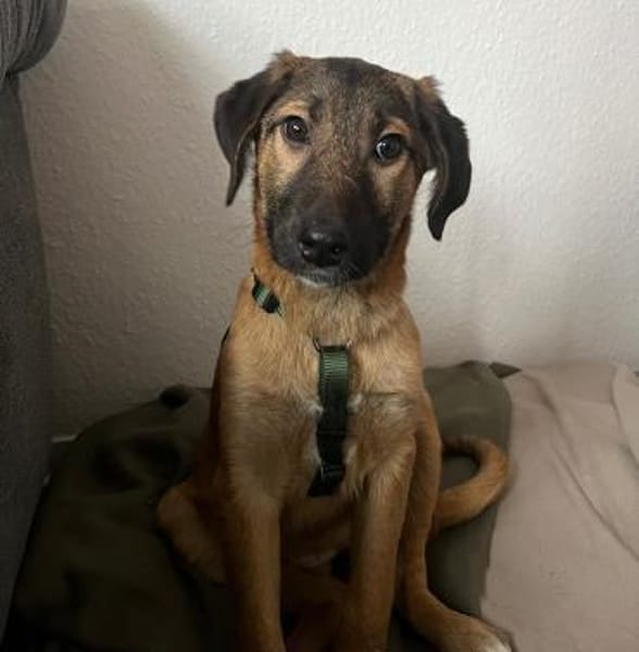 Darf ich vorstellen Prinzessin Sembra..