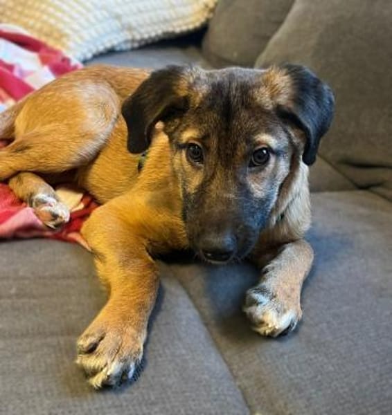 Darf ich vorstellen Prinzessin Sembra..