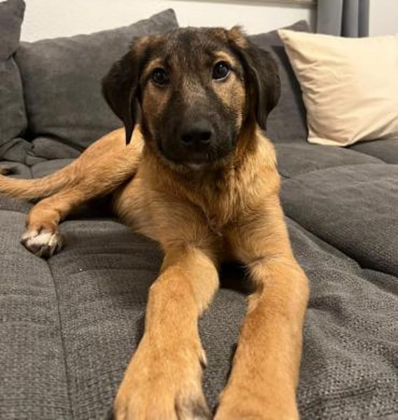 Darf ich vorstellen Prinzessin Sembra..