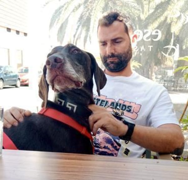 Choco (9 Jahre) sucht Sofaplatz