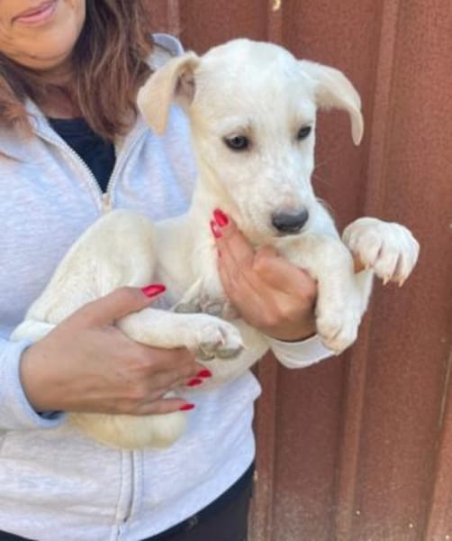 Ambra sucht ein Körbchen  🥰