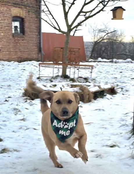 Theo-ein Freund fürs Leben