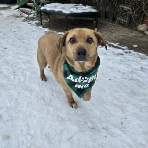 Theo-ein Freund fürs Leben