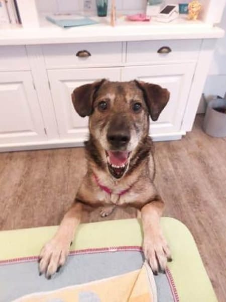 BAAKO -lieber & unkomplizierter Senior