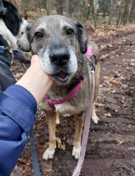 BAAKO -lieber & unkomplizierter Senior