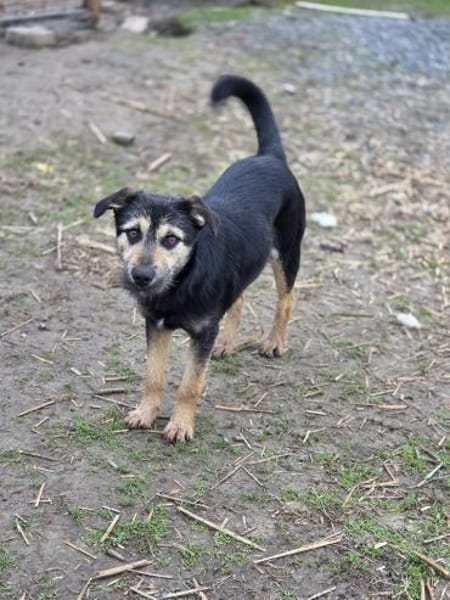 Philipp sucht sein Für-immer-Zuhause