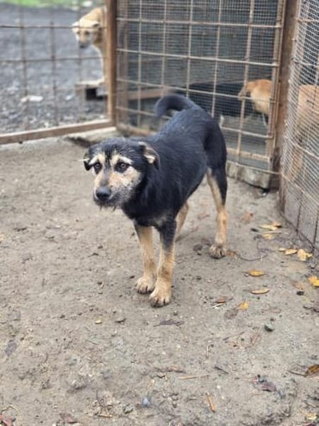 Philipp sucht sein Für-immer-Zuhause