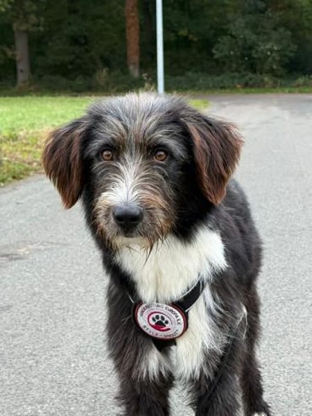 Der freundliche Karl - endlich gewollt?