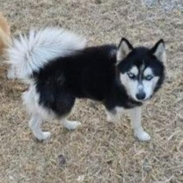 Vickysanft, verschmust, ganz besonders