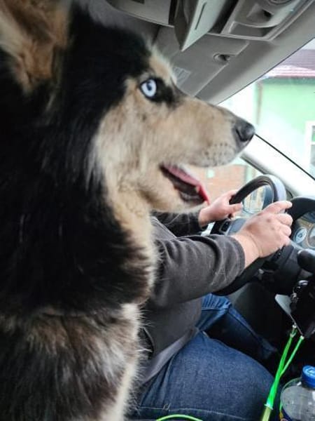 Vickysanft, verschmust, ganz besonders