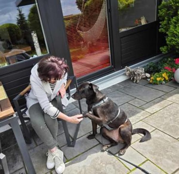 SABINA -ruhig & verschmust-