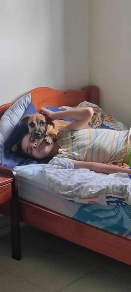 Anuka, femelle berger, née le 15/06/2025 🐶