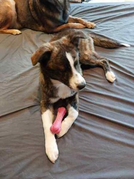 LLUNA * ruhiges feines Mädchen