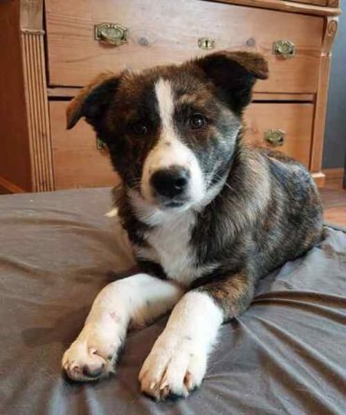 LLUNA * ruhiges feines Mädchen