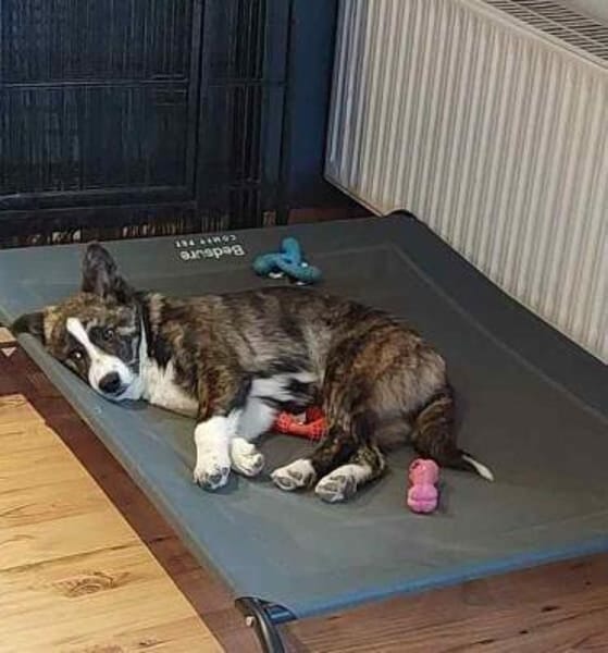 LLUNA * ruhiges feines Mädchen