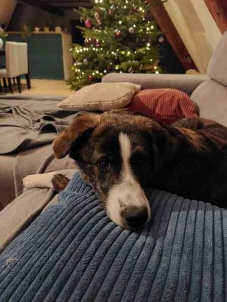 LLUNA * ruhiges feines Mädchen