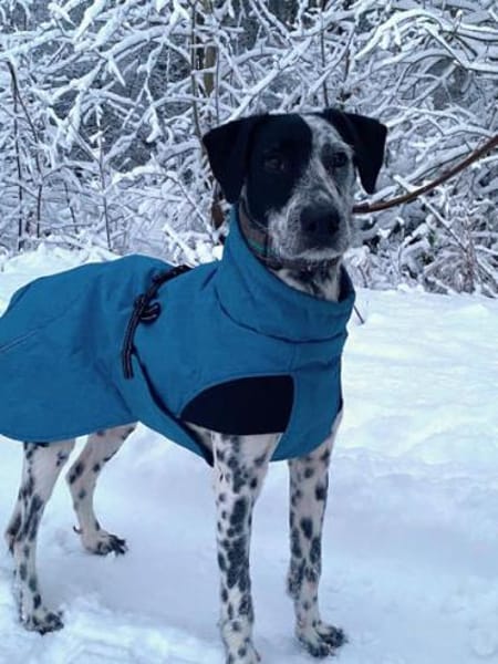 Bronco2 sucht einen Gnadenplatz