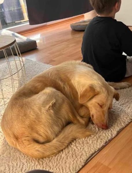 Freundlicher CREAM sucht DICH ? 🆘‼