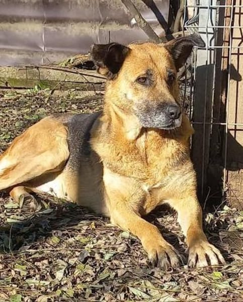 Ionica sanft und freundlich